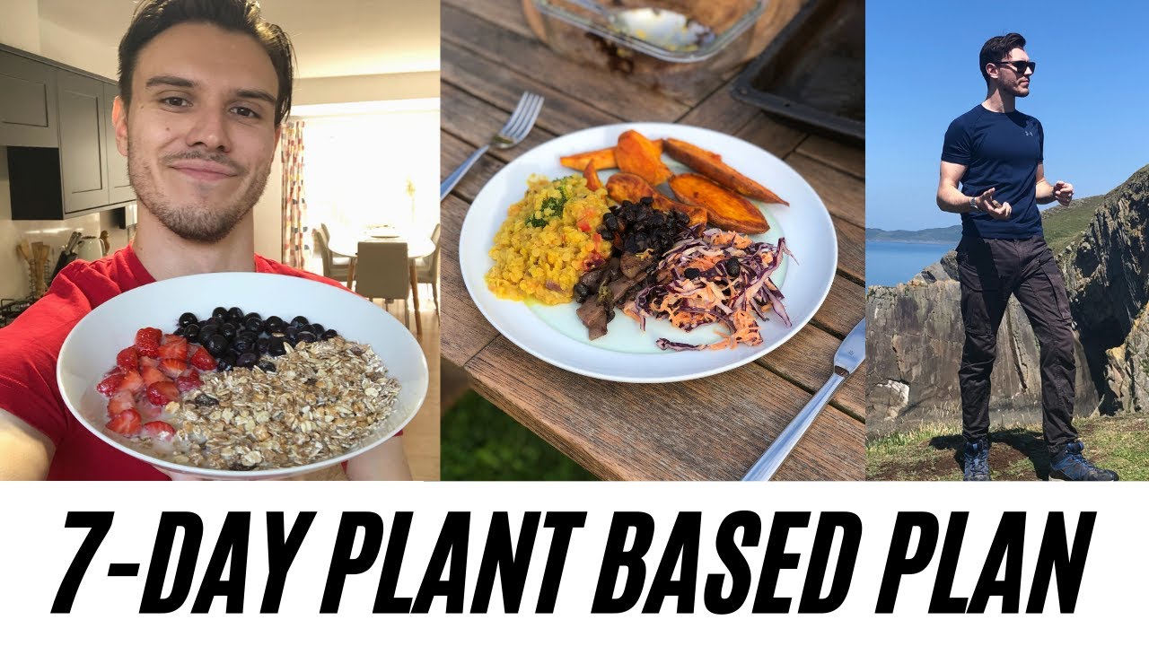 Easy Plant Based Meal Plan For Beginners – Live Eat Grow