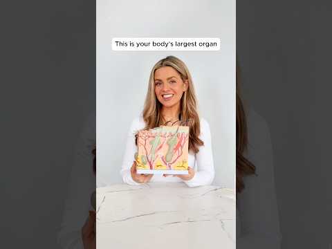 This Is Your Body’s Largest Organ 🫀#health #wellness