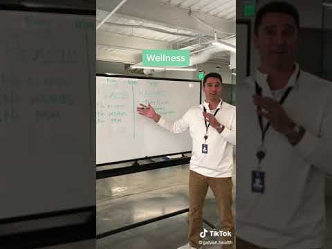 What is Wellness?
